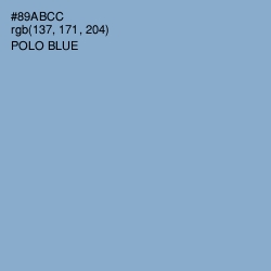 #89ABCC - Polo Blue Color Image